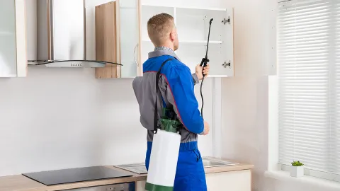 Usher Pest Control in Lincoln