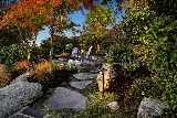 Turk Landscape Design photo 5