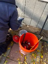 Valley Wide Pest Control Inc. photo 4