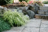 Avant Gardening & Landscaping photo 8