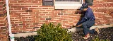 Rose Pest Solutions photo 3