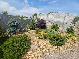 Code Green Landscaping & Property Services