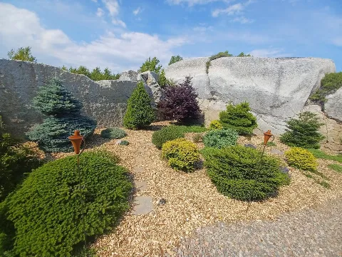 Code Green Landscaping & Property Services photo 1