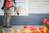 Greenix Pest Control