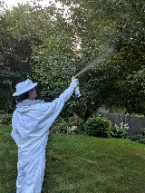 Anchor Pest Services photo 6