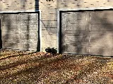 Garage Door & More Company Inc. photo 8
