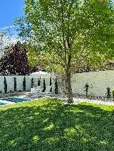 Bill's Landscaping Inc photo 5