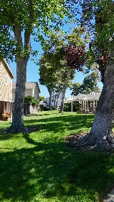 Malagon Legacy Landscaping photo 4