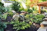 Earthadelic photo 4