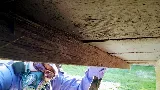 Carey Pest Management photo 7