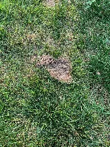 Recon Pest Services photo 7