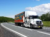 Ecoway Movers photo 8