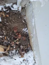 Mirak Pest Control photo 2
