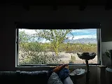 True View Windows & Glass (Palo Verde Glass & Screen) photo 4