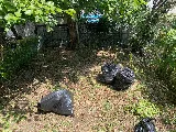 Garden Culture NYC photo 5