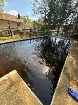 Chlorine Clean Pool Services photo 4
