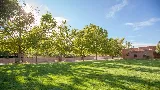 Green Summit Landscape Management