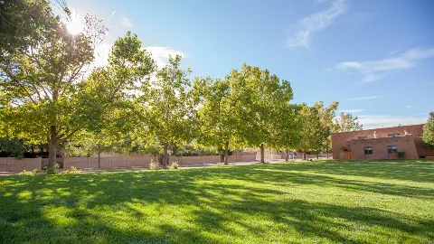Green Summit Landscape Management photo 1