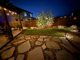 Betancourt Landscaping Service LLC photo 6