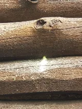 AG Pest Services photo 6