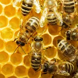 EarthRite Pest Control photo 6