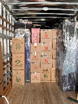 Major League Moving photo 5