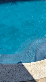 Bishop Pool Service & Repair photo 8