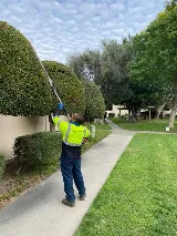 Go Green Us Landscaping photo 4
