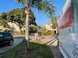True Life Movers photo 8
