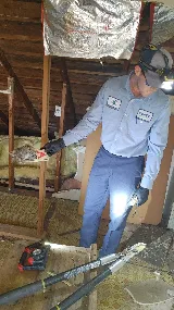 Insight Pest Solutions photo 3