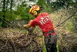 Ryan Lawn & Tree photo 4