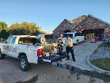 Urbanex Pest Control