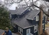 Roof Ninjas photo 2