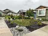 Cali Garden Landscaping photo 6