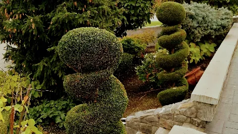 VitaNova Landscape Ltd. photo 1