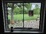 ROI WINDOWS photo 5