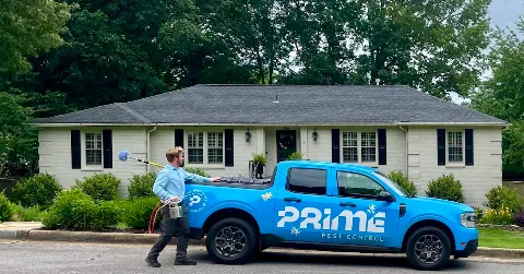 Prime Pest Control photo 1