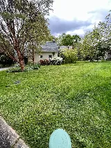 UDS Philly Landscaping and Removal photo 2