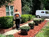 Accel Pest & Termite Control photo 5