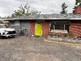 Pointe Pest Control - Portland photo 6