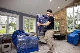 Tiger Moving photo 3