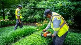 Berkeley Landscape Design photo 6