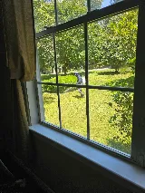 Fox Pest Control Newport News photo 6