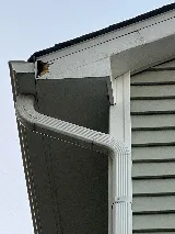 Pest Control PRO - Dublin photo 3