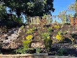 Lawrence Bennett Landscape Design and Construction photo 6