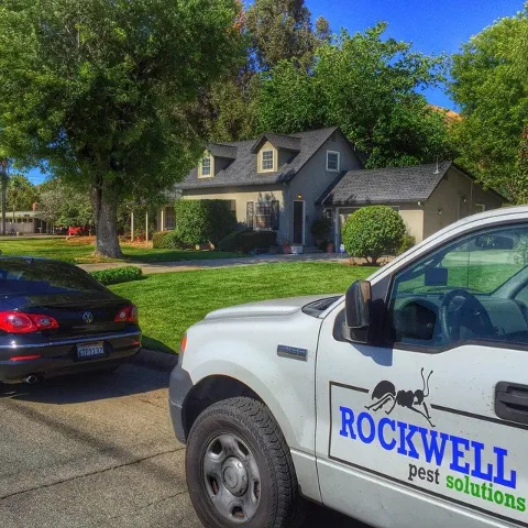 Rockwell Pest Solutions photo 1