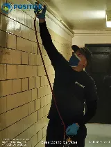 Positive Pest Management photo 4
