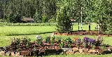 Upstream Landscape + Design photo 8
