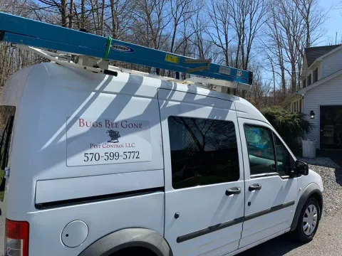 Bugs Bee Gone Pest Control LLC in Wilkes-Barre