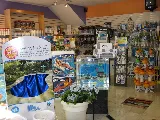 Apollo Pools & Spas photo 4